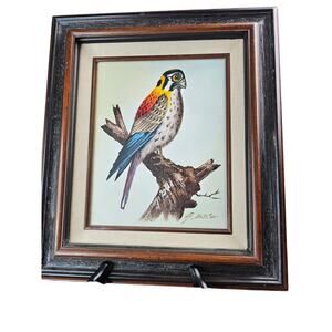 Painting of an American Kestrel.  A Falcon Often Used By Beginner Falconers.‎